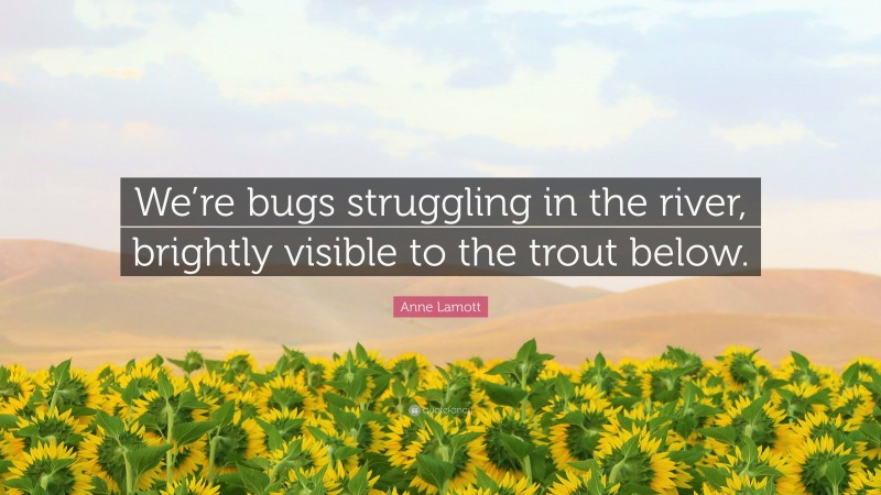 Anne Lamott Quote: “We’re bugs struggling in the river, brightly visible to the trout below.”