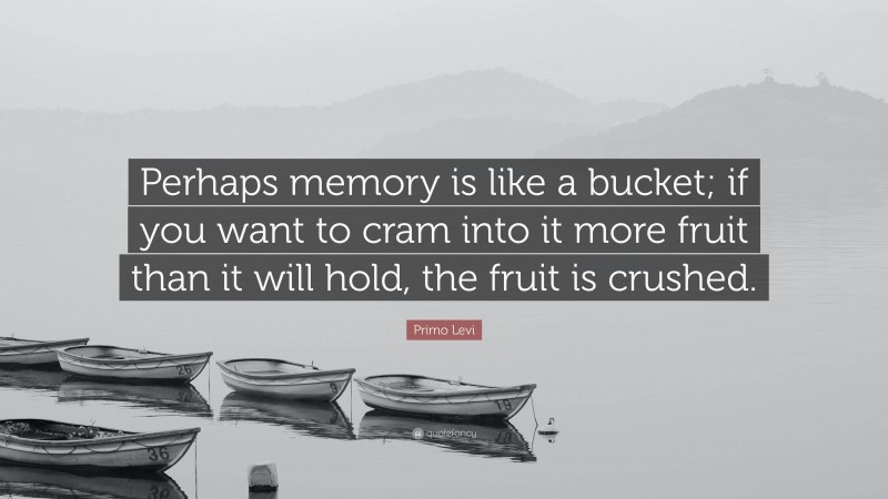 Primo Levi Quote: “Perhaps memory is like a bucket; if you want to cram into it more fruit than it will hold, the fruit is crushed.”