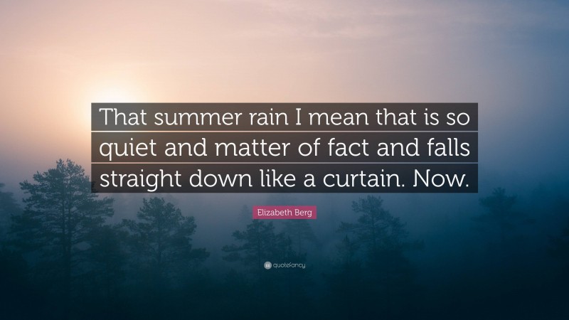 Elizabeth Berg Quote: “That summer rain I mean that is so quiet and matter of fact and falls straight down like a curtain. Now.”