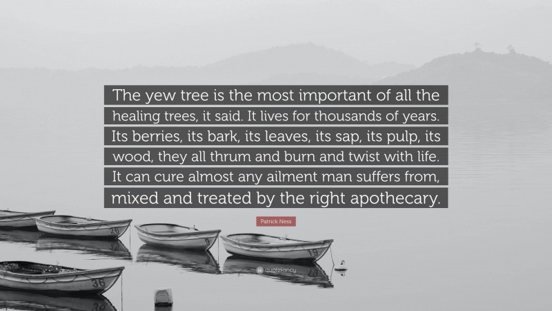 Patrick Ness Quote: “The yew tree is the most important of all the healing trees, it said. It lives for thousands of years. Its berries, its bark, its leaves, its sap, its pulp, its wood, they all thrum and burn and twist with life. It can cure almost any ailment man suffers from, mixed and treated by the right apothecary.”