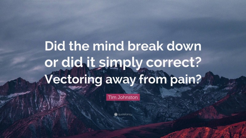 Tim Johnston Quote: “Did the mind break down or did it simply correct? Vectoring away from pain?”