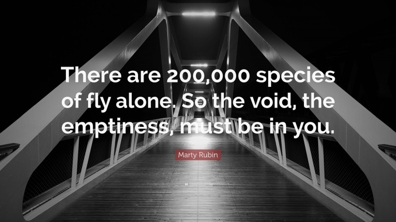 Marty Rubin Quote: “There are 200,000 species of fly alone. So the void, the emptiness, must be in you.”