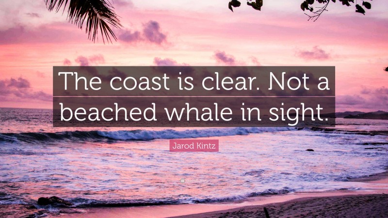 Jarod Kintz Quote: “The coast is clear. Not a beached whale in sight.”