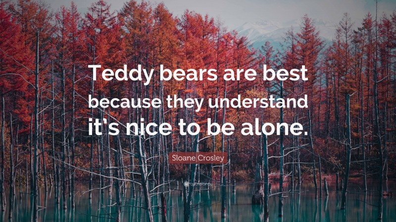 Sloane Crosley Quote: “Teddy bears are best because they understand it’s nice to be alone.”