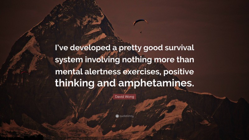 David Wong Quote: “I’ve developed a pretty good survival system involving nothing more than mental alertness exercises, positive thinking and amphetamines.”