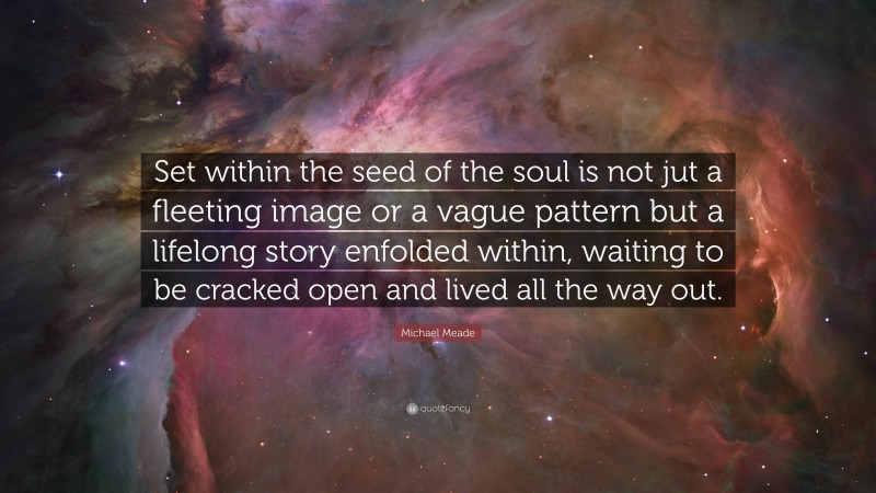 Michael Meade Quote: “Set within the seed of the soul is not jut a fleeting image or a vague pattern but a lifelong story enfolded within, waiting to be cracked open and lived all the way out.”