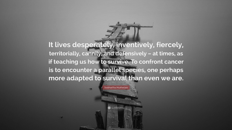 Siddhartha Mukherjee Quote: “It lives desperately, inventively, fiercely, territorially, cannily, and defensively – at times, as if teaching us how to survive. To confront cancer is to encounter a parallel species, one perhaps more adapted to survival than even we are.”