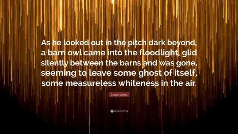 Cynan Jones Quote: “As he looked out in the pitch dark beyond, a barn owl came into the floodlight, glid silently between the barns and was gone, seeming to leave some ghost of itself, some measureless whiteness in the air.”