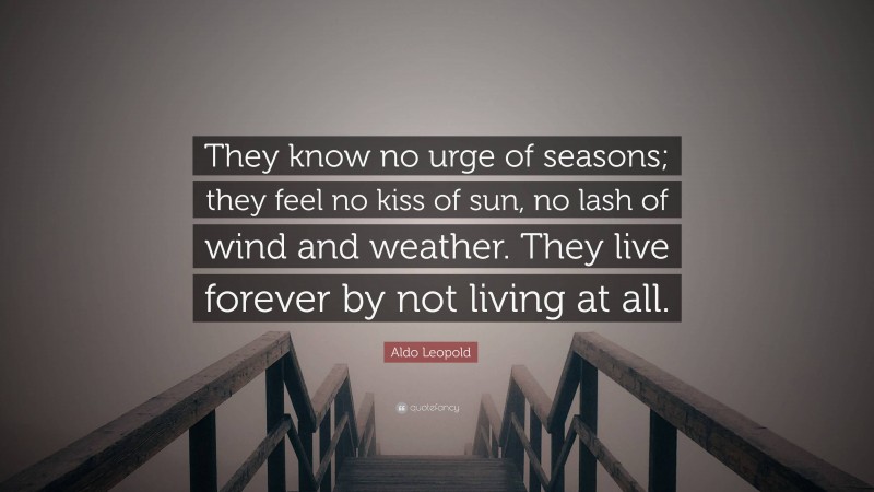 Aldo Leopold Quote: “They know no urge of seasons; they feel no kiss of sun, no lash of wind and weather. They live forever by not living at all.”