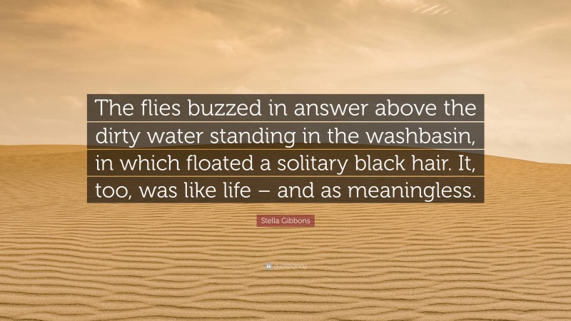 Stella Gibbons Quote: “The flies buzzed in answer above the dirty water standing in the washbasin, in which floated a solitary black hair. It, too, was like life – and as meaningless.”