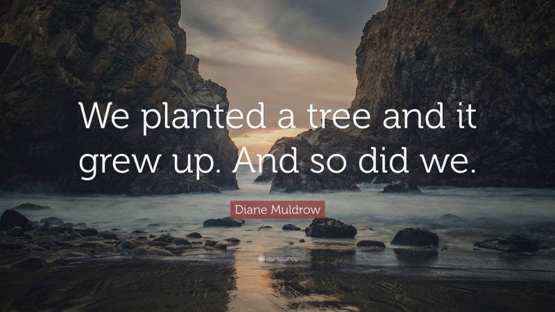 Diane Muldrow Quote: “We planted a tree and it grew up. And so did we.”