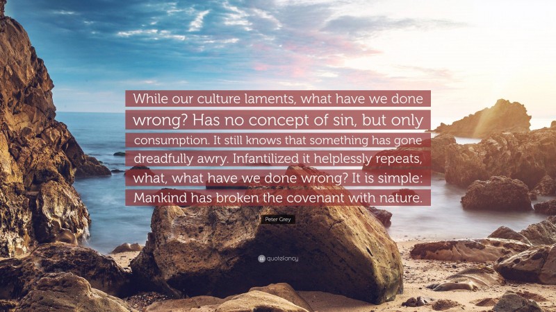 Peter Grey Quote: “While our culture laments, what have we done wrong? Has no concept of sin, but only consumption. It still knows that something has gone dreadfully awry. Infantilized it helplessly repeats, what, what have we done wrong? It is simple: Mankind has broken the covenant with nature.”