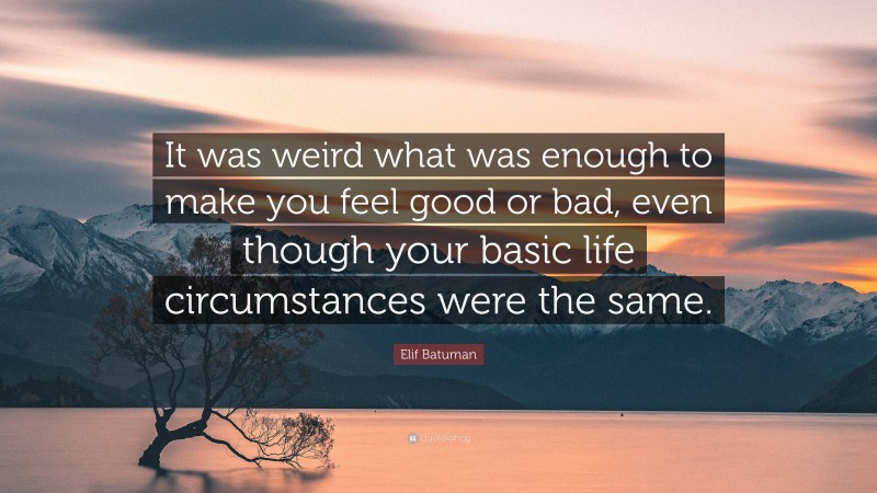 Elif Batuman Quote: “It was weird what was enough to make you feel good or bad, even though your basic life circumstances were the same.”