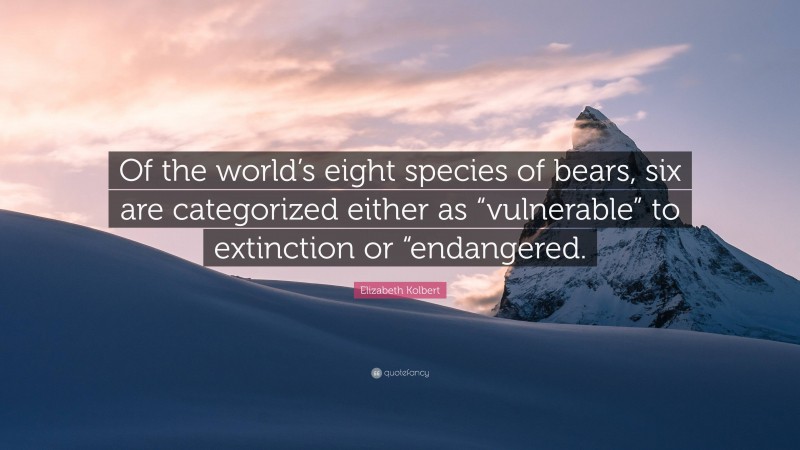 Elizabeth Kolbert Quote: “Of the world’s eight species of bears, six are categorized either as “vulnerable” to extinction or “endangered.”