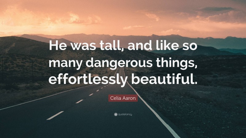 Celia Aaron Quote: “He was tall, and like so many dangerous things, effortlessly beautiful.”