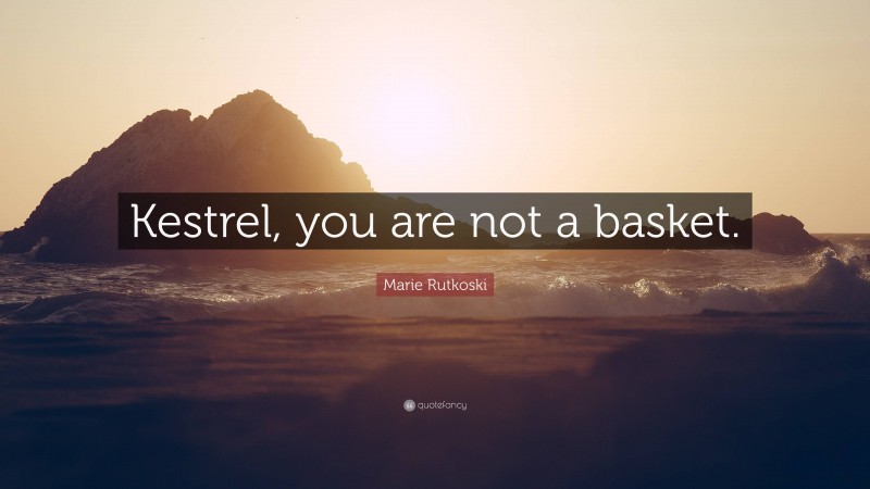 Marie Rutkoski Quote: “Kestrel, you are not a basket.”