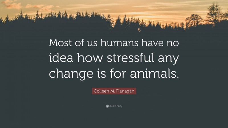 Colleen M. Flanagan Quote: “Most of us humans have no idea how stressful any change is for animals.”