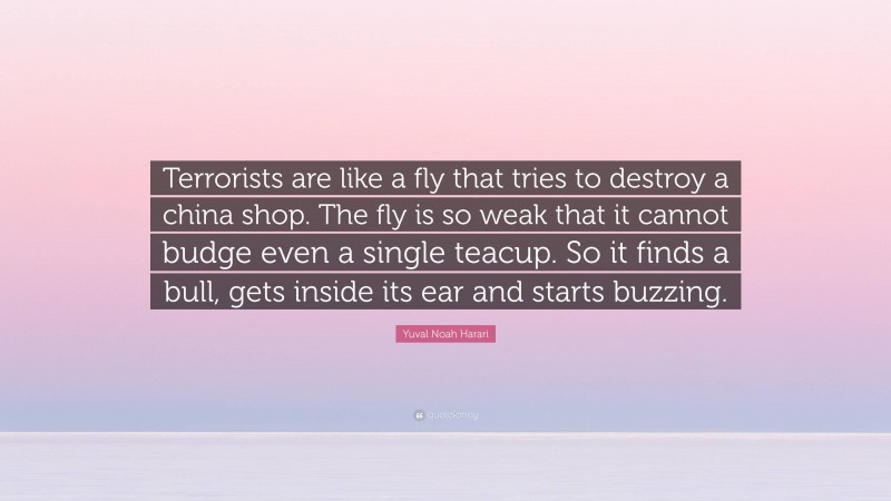 Yuval Noah Harari Quote: “Terrorists are like a fly that tries to destroy a china shop. The fly is so weak that it cannot budge even a single teacup. So it finds a bull, gets inside its ear and starts buzzing.”