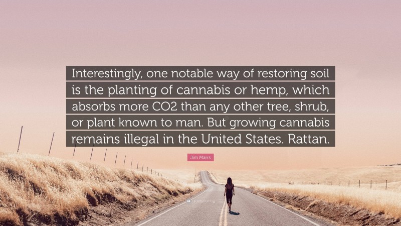 Jim Marrs Quote: “Interestingly, one notable way of restoring soil is the planting of cannabis or hemp, which absorbs more CO2 than any other tree, shrub, or plant known to man. But growing cannabis remains illegal in the United States. Rattan.”