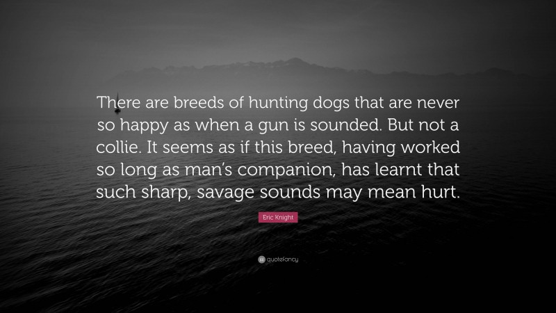 Eric Knight Quote: “There are breeds of hunting dogs that are never so happy as when a gun is sounded. But not a collie. It seems as if this breed, having worked so long as man’s companion, has learnt that such sharp, savage sounds may mean hurt.”