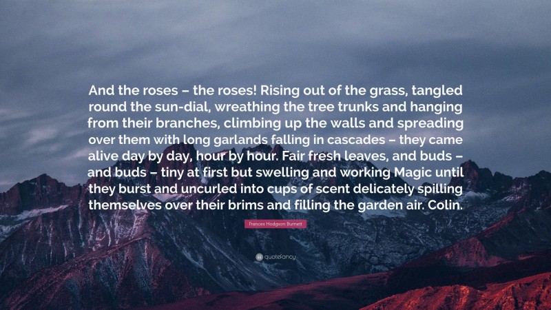 Frances Hodgson Burnett Quote: “And the roses – the roses! Rising out of the grass, tangled round the sun-dial, wreathing the tree trunks and hanging from their branches, climbing up the walls and spreading over them with long garlands falling in cascades – they came alive day by day, hour by hour. Fair fresh leaves, and buds – and buds – tiny at first but swelling and working Magic until they burst and uncurled into cups of scent delicately spilling themselves over their brims and filling the garden air. Colin.”