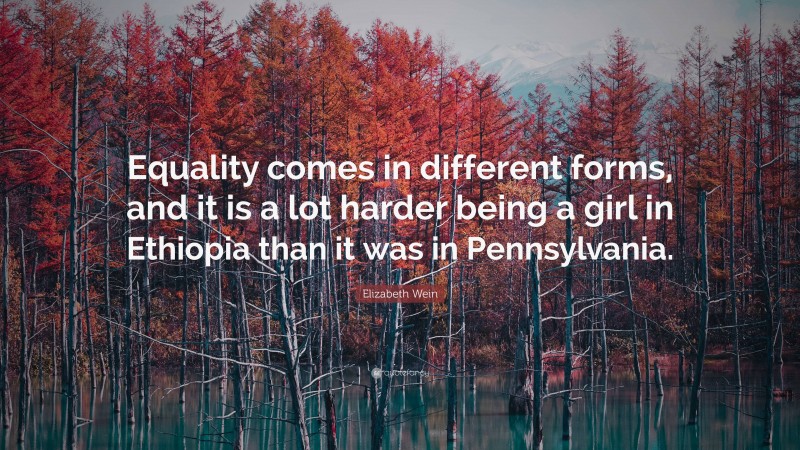 Elizabeth Wein Quote: “Equality comes in different forms, and it is a lot harder being a girl in Ethiopia than it was in Pennsylvania.”