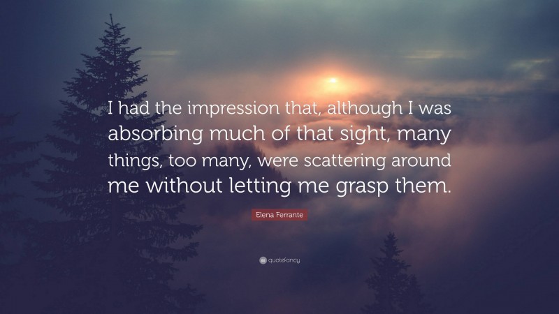 Elena Ferrante Quote: “I had the impression that, although I was absorbing much of that sight, many things, too many, were scattering around me without letting me grasp them.”