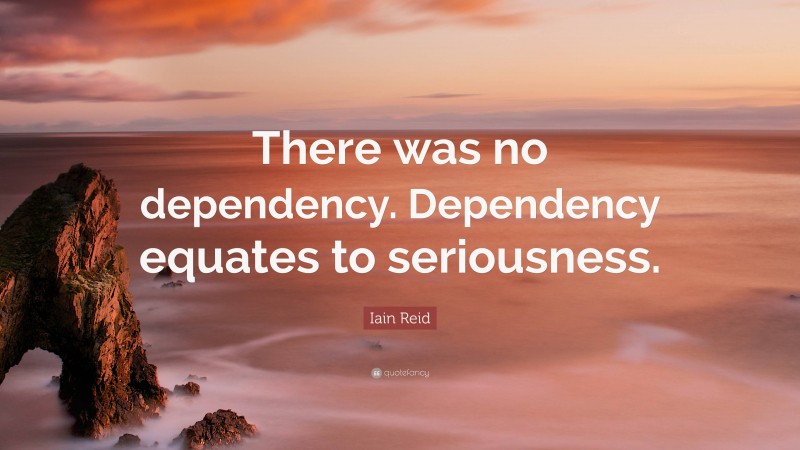 Iain Reid Quote: “There was no dependency. Dependency equates to seriousness.”