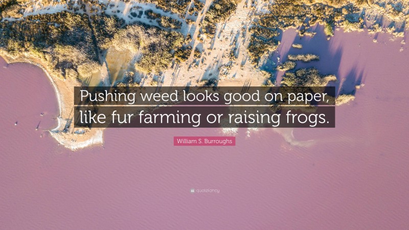 William S. Burroughs Quote: “Pushing weed looks good on paper, like fur farming or raising frogs.”