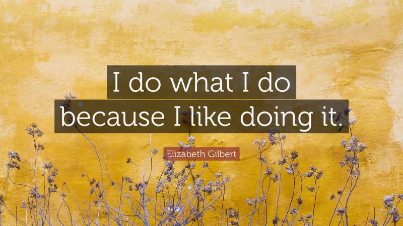 Elizabeth Gilbert Quote: “I do what I do because I like doing it.”