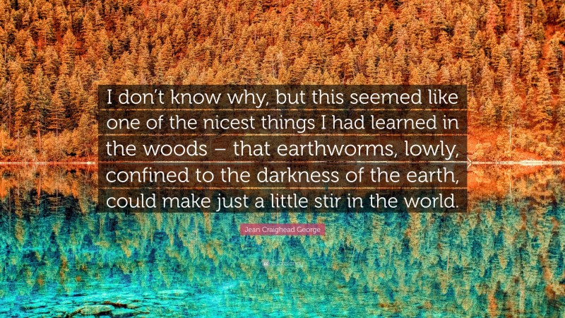 Jean Craighead George Quote: “I don’t know why, but this seemed like one of the nicest things I had learned in the woods – that earthworms, lowly, confined to the darkness of the earth, could make just a little stir in the world.”