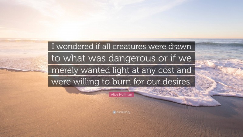 Alice Hoffman Quote: “I wondered if all creatures were drawn to what was dangerous or if we merely wanted light at any cost and were willing to burn for our desires.”