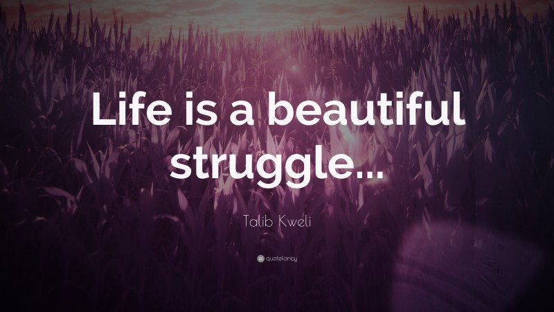 Talib Kweli Quote: “Life is a beautiful struggle...”