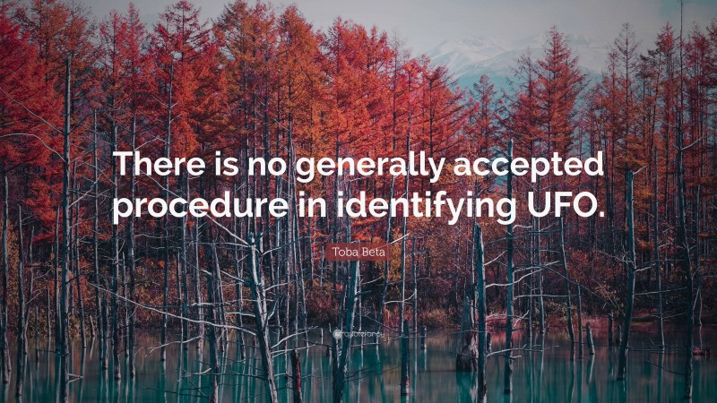 Toba Beta Quote: “There is no generally accepted procedure in identifying UFO.”