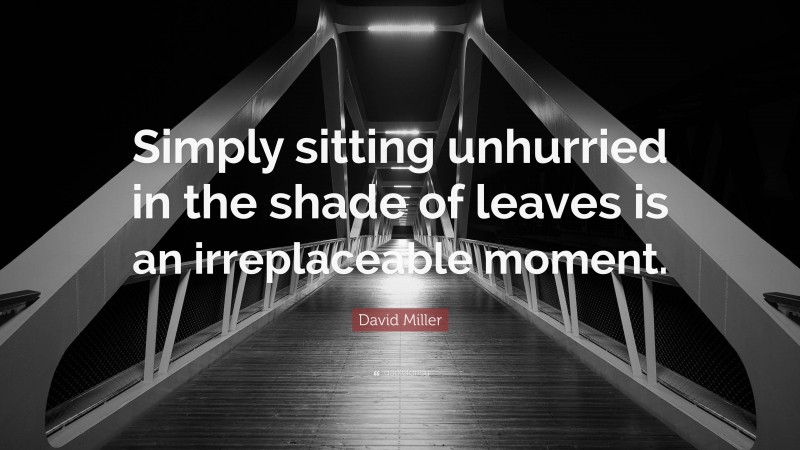 David Miller Quote: “Simply sitting unhurried in the shade of leaves is an irreplaceable moment.”