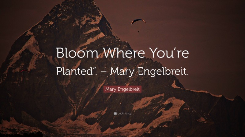 Mary Engelbreit Quote: “Bloom Where You’re Planted”. – Mary Engelbreit.”