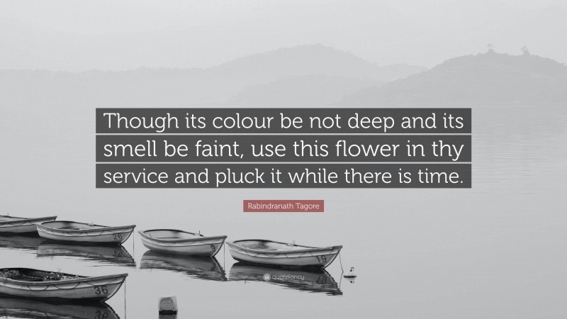 Rabindranath Tagore Quote: “Though its colour be not deep and its smell be faint, use this flower in thy service and pluck it while there is time.”