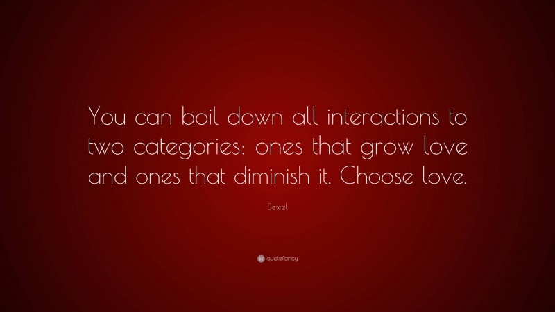 Jewel Quote: “You can boil down all interactions to two categories: ones that grow love and ones that diminish it. Choose love.”
