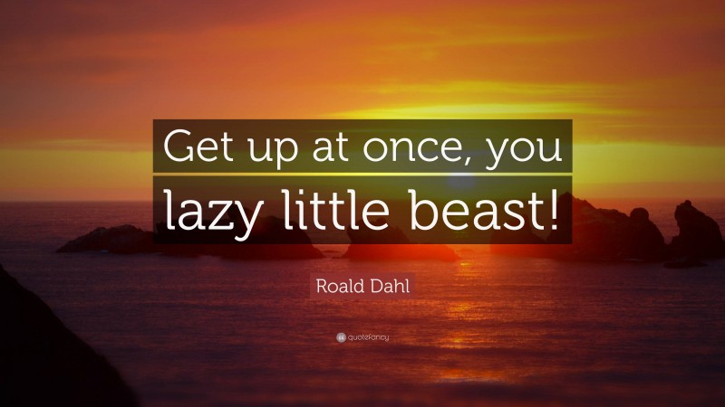Roald Dahl Quote: “Get up at once, you lazy little beast!”