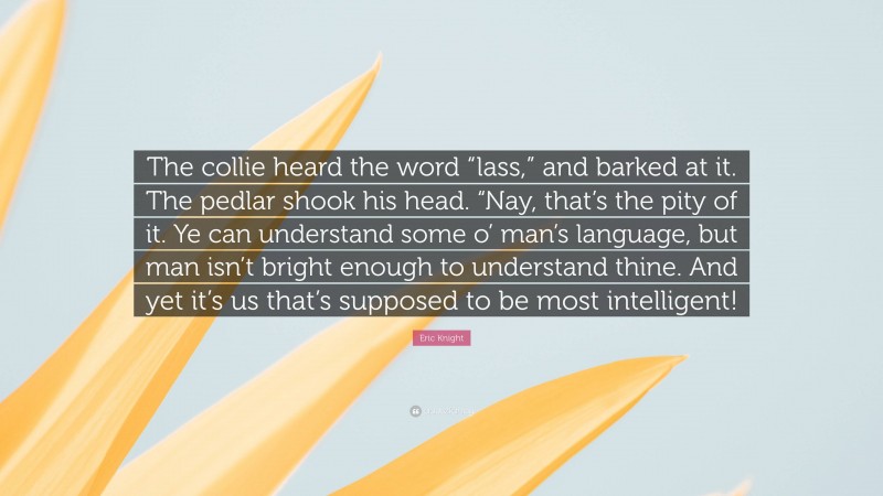 Eric Knight Quote: “The collie heard the word “lass,” and barked at it. The pedlar shook his head. “Nay, that’s the pity of it. Ye can understand some o’ man’s language, but man isn’t bright enough to understand thine. And yet it’s us that’s supposed to be most intelligent!”