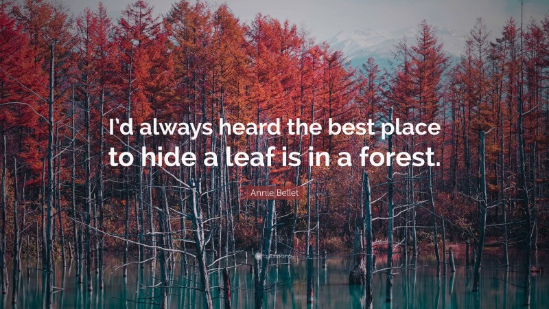 Annie Bellet Quote: “I’d always heard the best place to hide a leaf is in a forest.”