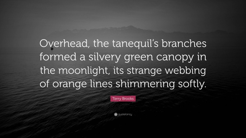 Terry Brooks Quote: “Overhead, the tanequil’s branches formed a silvery green canopy in the moonlight, its strange webbing of orange lines shimmering softly.”