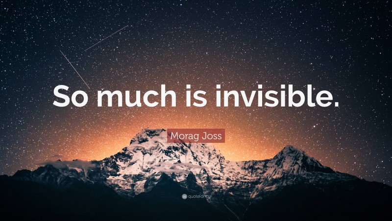 Morag Joss Quote: “So much is invisible.”