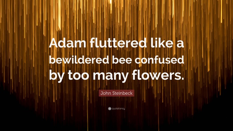 John Steinbeck Quote: “Adam fluttered like a bewildered bee confused by too many flowers.”