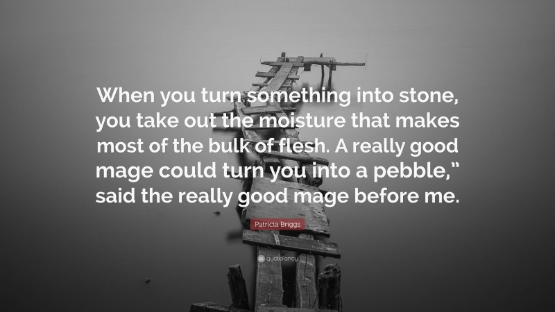 Patricia Briggs Quote: “When you turn something into stone, you take out the moisture that makes most of the bulk of flesh. A really good mage could turn you into a pebble,” said the really good mage before me.”