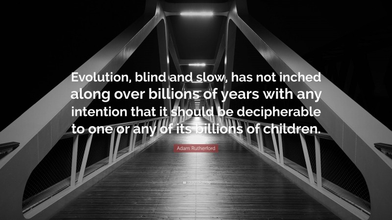 Adam Rutherford Quote: “Evolution, blind and slow, has not inched along over billions of years with any intention that it should be decipherable to one or any of its billions of children.”