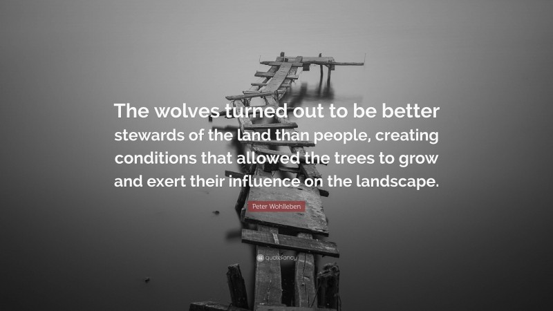 Peter Wohlleben Quote: “The wolves turned out to be better stewards of the land than people, creating conditions that allowed the trees to grow and exert their influence on the landscape.”