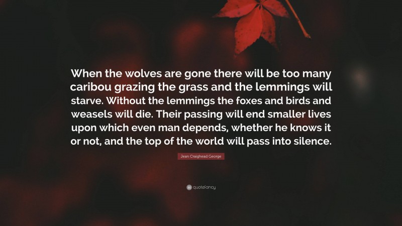 Jean Craighead George Quote: “When the wolves are gone there will be too many caribou grazing the grass and the lemmings will starve. Without the lemmings the foxes and birds and weasels will die. Their passing will end smaller lives upon which even man depends, whether he knows it or not, and the top of the world will pass into silence.”