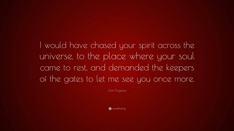 Julie Kagawa Quote: “I would have chased your spirit across the universe, to the place where your soul came to rest, and demanded the keepers of the gates to let me see you once more.”