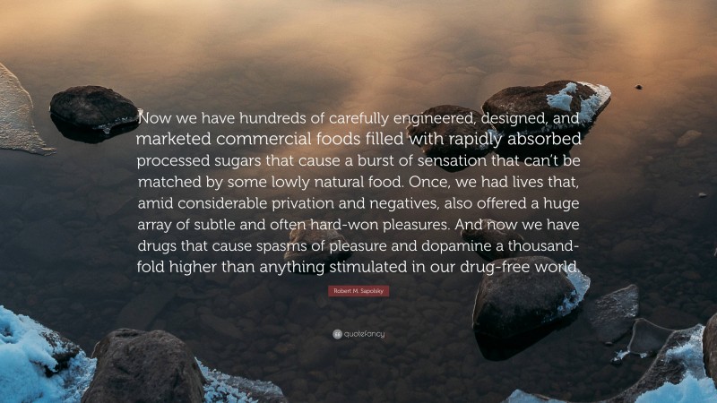 Robert M. Sapolsky Quote: “Now we have hundreds of carefully engineered, designed, and marketed commercial foods filled with rapidly absorbed processed sugars that cause a burst of sensation that can’t be matched by some lowly natural food. Once, we had lives that, amid considerable privation and negatives, also offered a huge array of subtle and often hard-won pleasures. And now we have drugs that cause spasms of pleasure and dopamine a thousand-fold higher than anything stimulated in our drug-free world.”